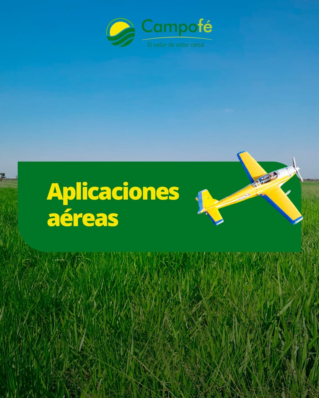 Trabajo de campo