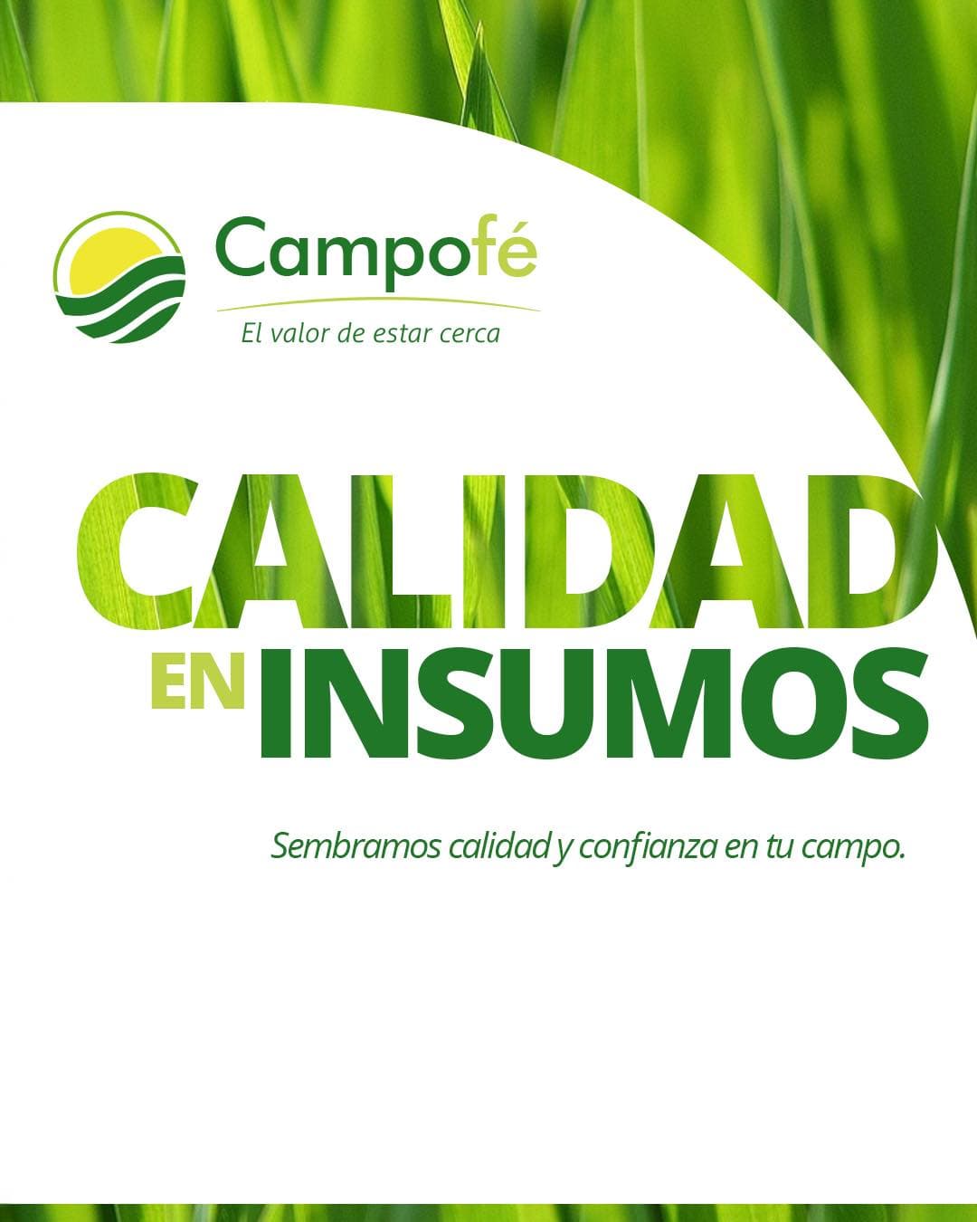 Semillas de pasturas